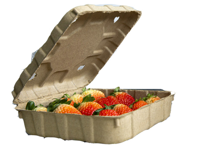 Strawberry tomato packaging